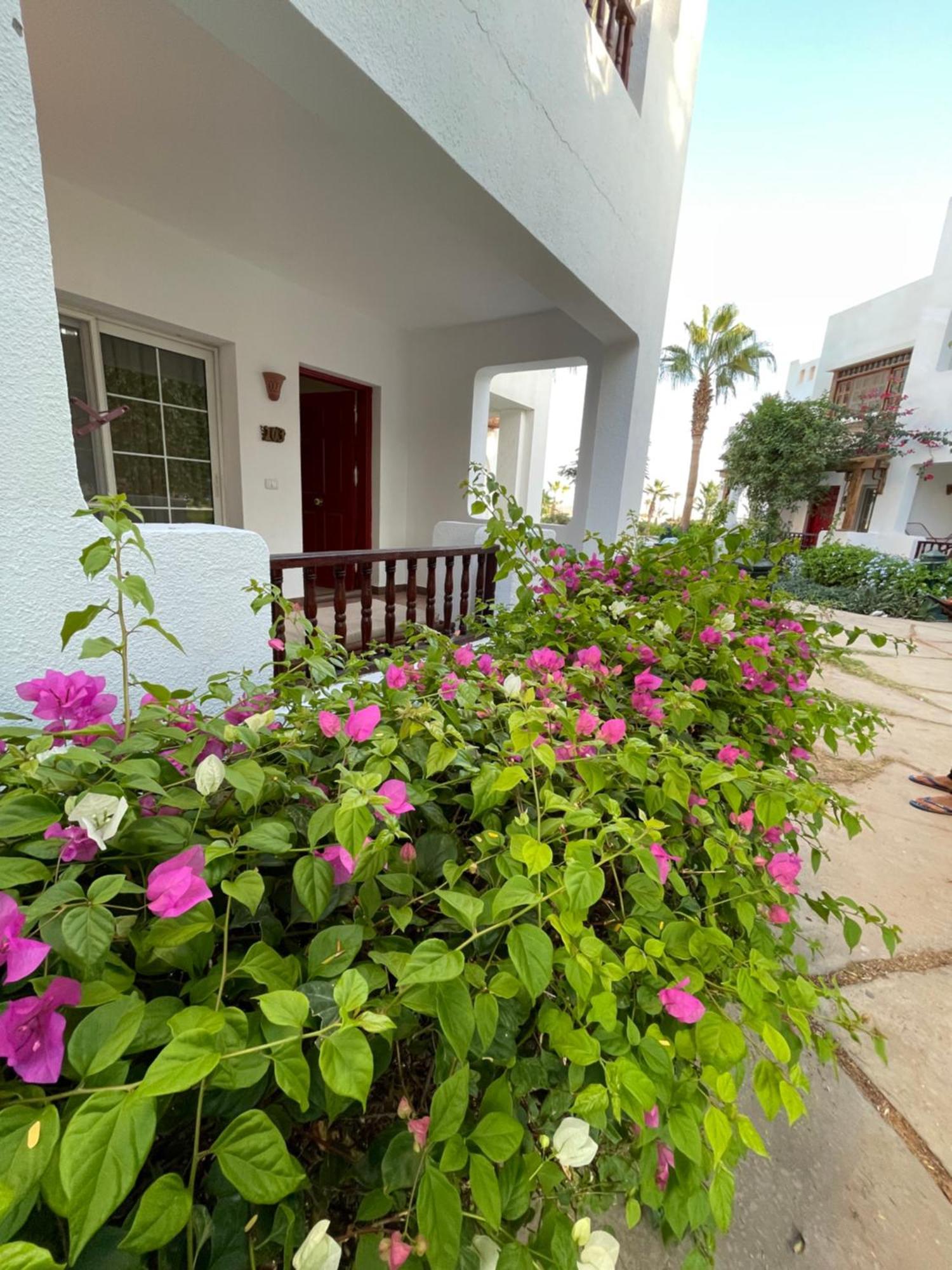 Delta Sharm Apartments With Free Internet Wi-Fi المظهر الخارجي الصورة